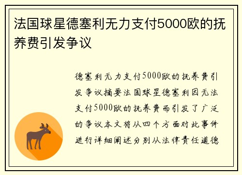 法国球星德塞利无力支付5000欧的抚养费引发争议